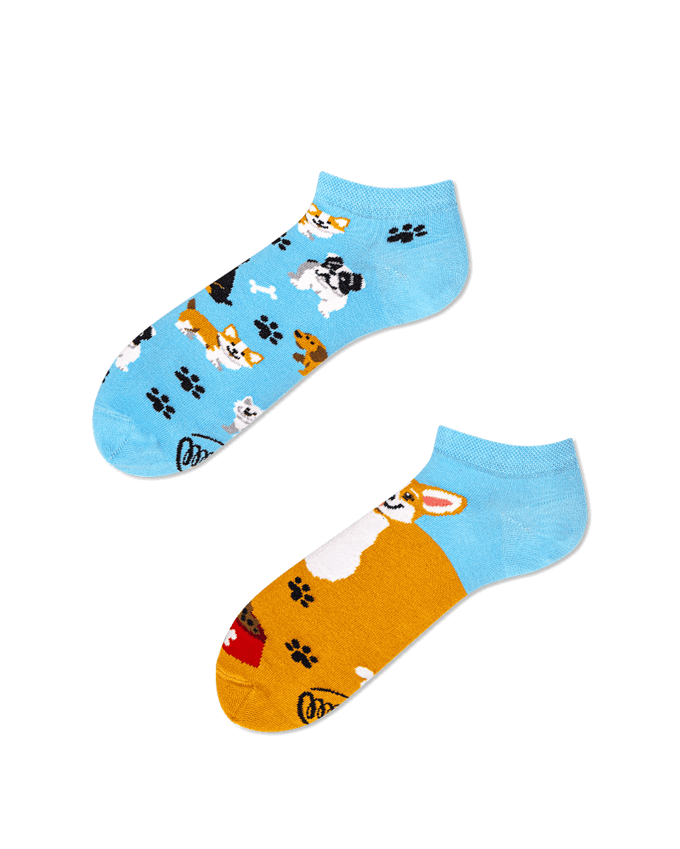 Many Mornings Sneaker Playful Dog links Many Mornings Sneaker Playful Dog links