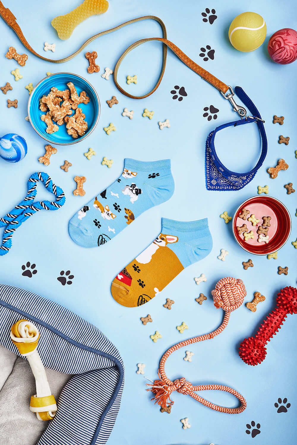 Many Mornings Sneaker Playful Dog Many Mornings Sneaker Playful Dog