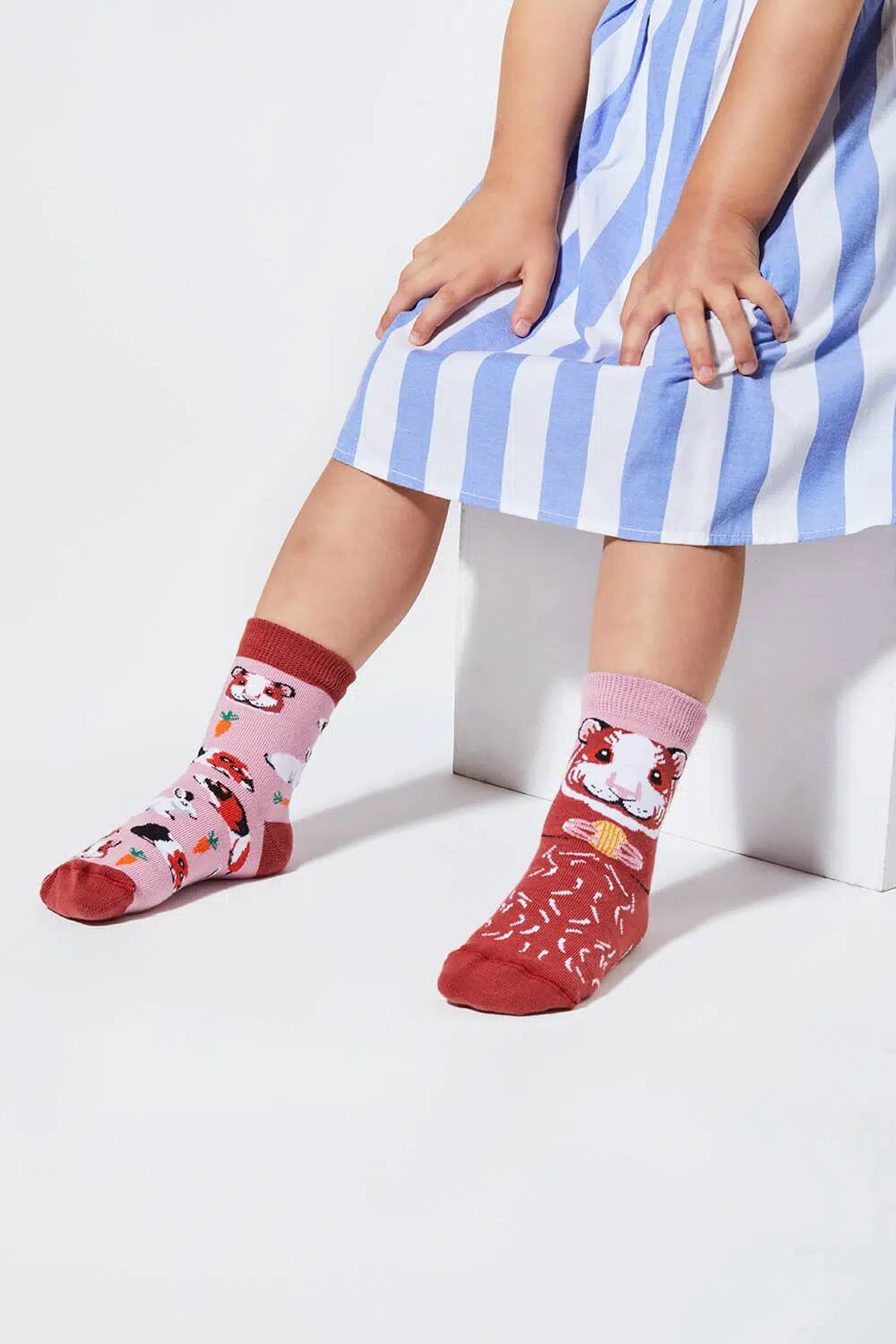 Many Mornings Kids Miss Guinea Pig angezogen Many Mornings Kids Miss Guinea Pig angezogen