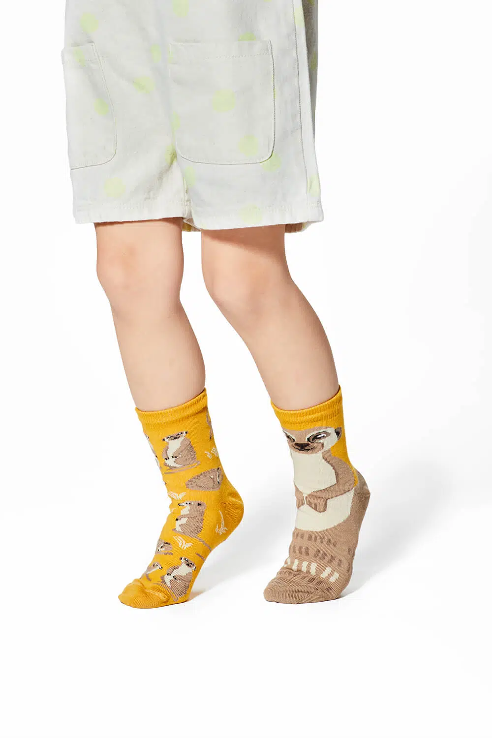 Many Mornings Kids The Meerkat Many Mornings Kids The Meerkat