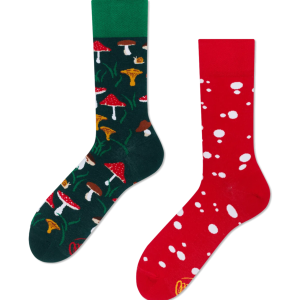 Many Mornings Meet the Shrooms