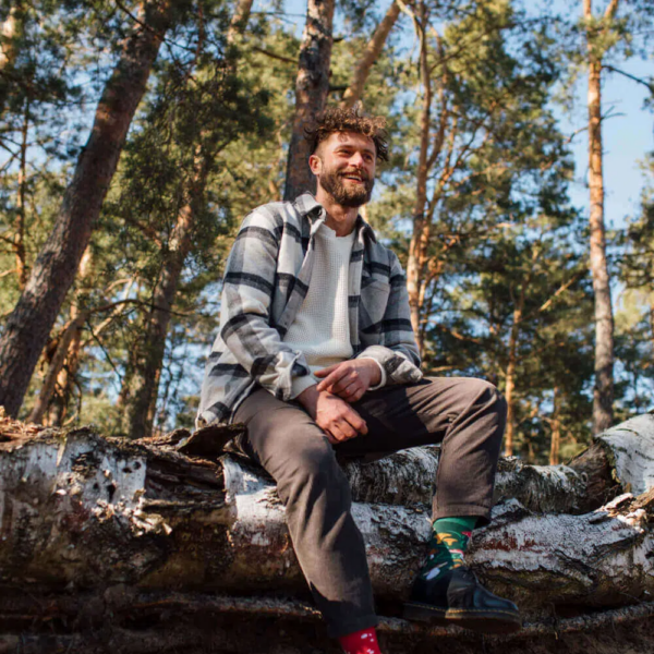 Many Mornings Meet the Shrooms im Wald