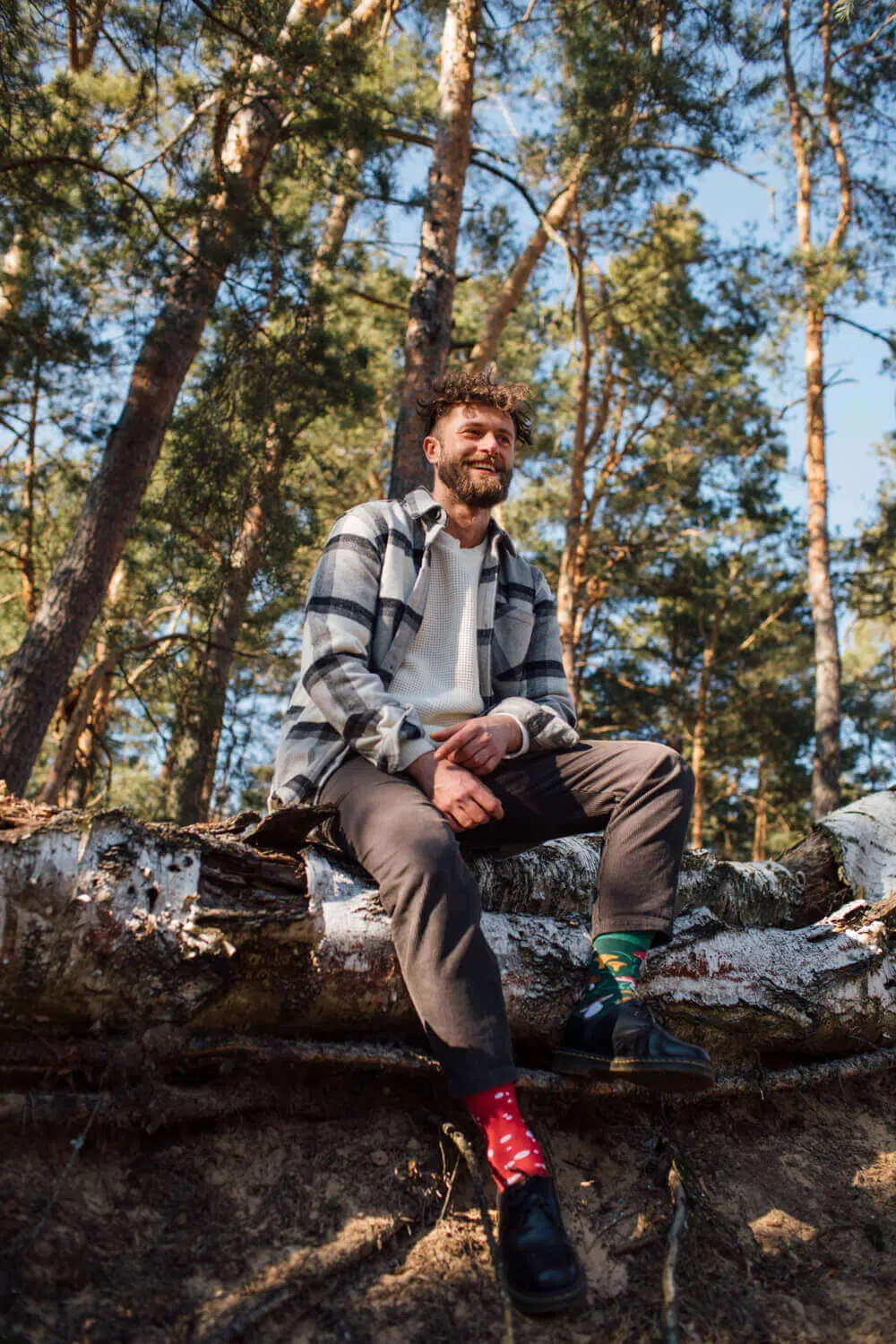 Many Mornings Meet the Shrooms im Wald